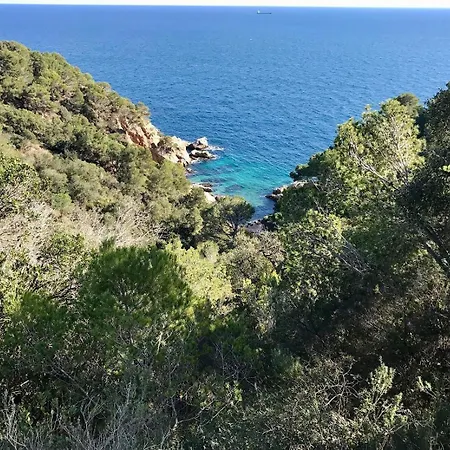 Marina Lloret de Mar